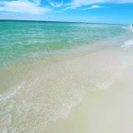 d97ef24b 7012 418e 8043 0f87f724b2c8